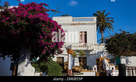 Old town of Haria, village square, great bougainvillea (Bougainvillea spectabilis), palm trees, white houses, blue sky, Haria, North, Lanzarote Stock Photo