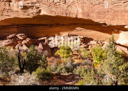 Green Mask Ruin. Backpacking in Grand Gulch and viewing Anasazi dwellings and rock art. Near Blanding, Utah, United States. Stock Photo