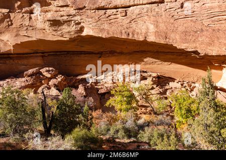 Green Mask Ruin. Backpacking in Grand Gulch and viewing Anasazi dwellings and rock art. Near Blanding, Utah, United States. Stock Photo