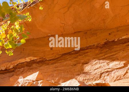 Green Mask Ruin. Backpacking in Grand Gulch and viewing Anasazi dwellings and rock art. Near Blanding, Utah, United States. Stock Photo