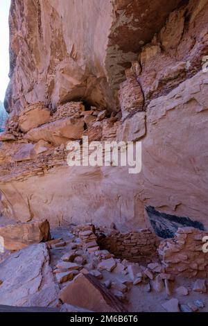 Green Mask Ruin. Backpacking in Grand Gulch and viewing Anasazi dwellings and rock art. Near Blanding, Utah, United States. Stock Photo