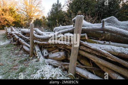 A snow covered rustic dead-wood  hedge in the countryside made from cutdown logs  and leftover branches Stock Photo
