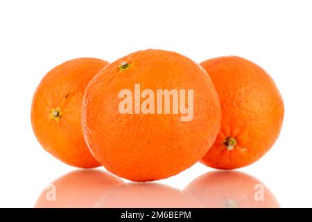 Three sweet organic tangerines, macro, isolated on white background. Stock Photo