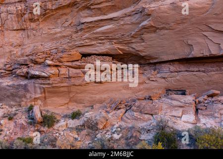 Green Mask Ruin. Backpacking in Grand Gulch and viewing Anasazi dwellings and rock art. Near Blanding, Utah, United States. Stock Photo