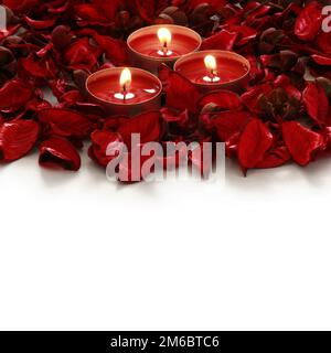 Red rose petals and candles on a white background Stock Photo