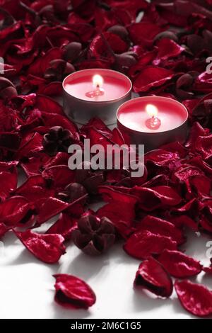 Red rose petals and candles on a white background Stock Photo