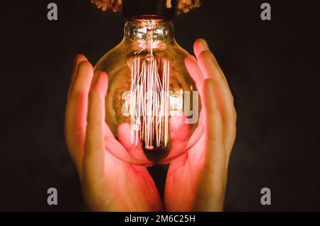 Edison type bulbs in Beautiful girl hands Stock Photo