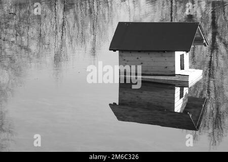 Tiny house for ducks in the middle of a small pond. Stock Photo