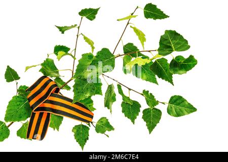 On a white background a birch branch with green leaves and a St. George ribbon Stock Photo