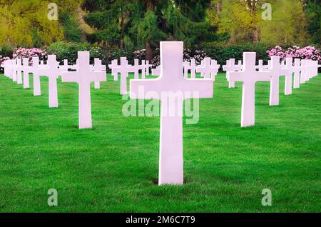 White crosses in an American cemetery Stock Photo
