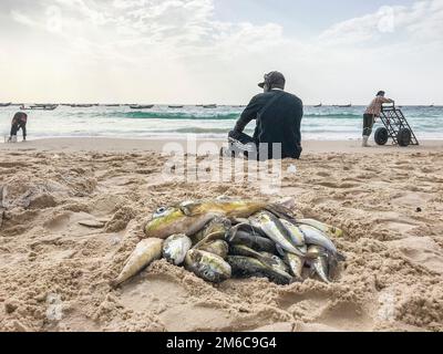 Mauritania, Nouakchott, fishermen's market Stock Photo