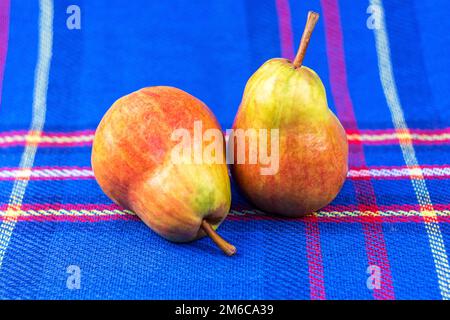 Two large ripe pears lie on a blue veil Stock Photo