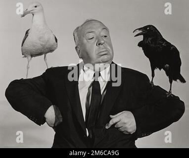 Alfred Hitchcock, publicity photo for Birds, 1963 Stock Photo