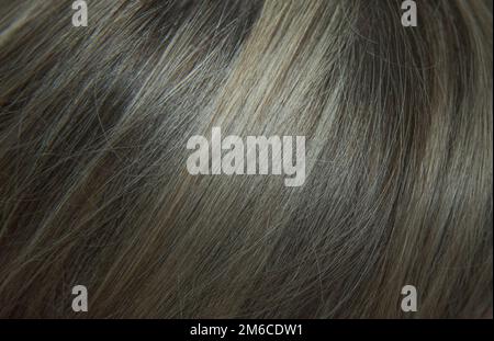 The structure of previously dyed hair hair before coloring Close-up Stock Photo