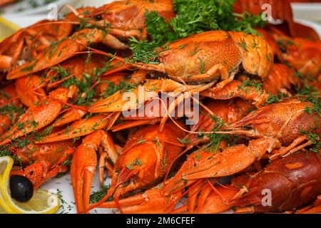 Boiled crayfish with herbs and lemon Stock Photo