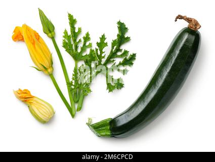 Green Zucchini with Leaf and Flower Isolated on White Background Stock Photo