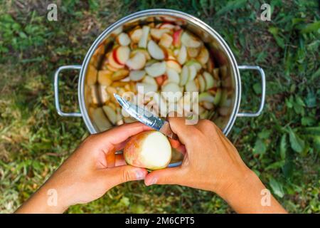 Top down view, female hands hold an apple and a sharp kitchen knife and cut apples into pieces over pan and green grass. Stock Photo
