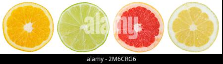 Citrus fruits southern fruits collection orange lemon fruits in a row cut half exempted isolated Stock Photo