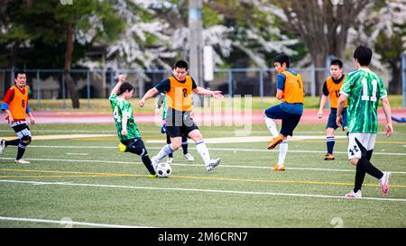 Participants from Team Misawa play soccer during the first-ever Sakura Olympics at Misawa Air Base, Japan, April 22, 2022. The Sakura Olympics gets its name from the famous cherry blossom tree. Throughout history, the Japanese government has given numerous cherry blossom trees to the U.S. government, symbolizing the bond between the two nations. Stock Photo