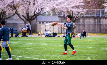 Participants from Team Misawa play flag football during the first-ever Sakura Olympics at Misawa Air Base, Japan, April 22, 2022. The Sakura Olympics gets its name from the famous cherry blossom tree. Throughout history, the Japanese government has given numerous cherry blossom trees to the U.S. government, symbolizing the bond between the two nations. Stock Photo