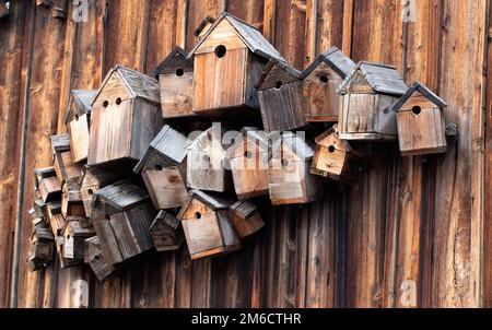Several wooden bird boxes on a wooden wall Stock Photo