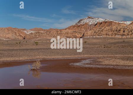 Puddle of water on cracked earth covered with dried salt. Valle de la Luna, Atacama desert, Chile Stock Photo
