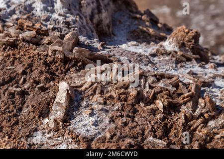 Big crystals of salt in a desert. Valle de la Luna, Atacama, Chile Stock Photo