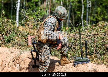 Soldiers in military training Saber Strike in Latvia. Stock Photo