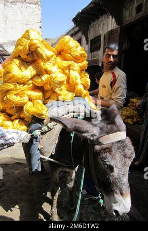 Fez, Morocco, March 26, 2012; Craftsman with bright, traditionally  dyed golden thread being delivered on the back of a donkey Stock Photo