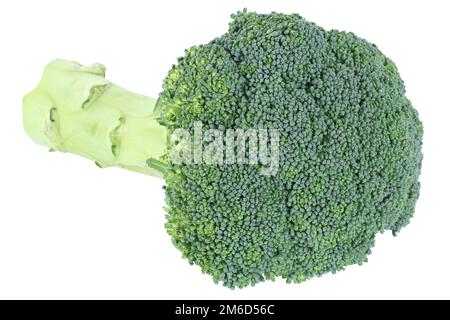 Broccoli fresh food vegetable isolated Stock Photo