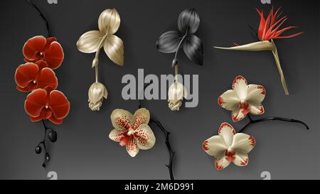 Tropical black, red and gold flower on dark background vector set. Beautiful botanical isolated design element, golden tropic jungle plants, exotic scarlet orchids, strelitzia and medinilla magnifica Stock Vector