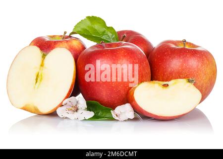 Apples apple fruits fresh fruit red blossoms isolated on white Stock Photo