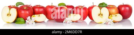 Red apple fruits apples fruit isolated on white in a row Stock Photo
