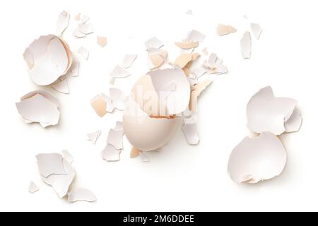 Single Egg Shell Egg Shells Isolated On White Background Stock Photo - Alamy