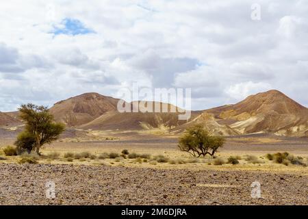 Winter view of desert landscape in Kedar valley, Massive Eilat Nature Reserve, southern Israel Stock Photo