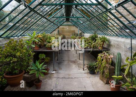Cactus House, Greenhouse at Botanical Garden; Copenhagen; Denmark Stock  Photo - Alamy