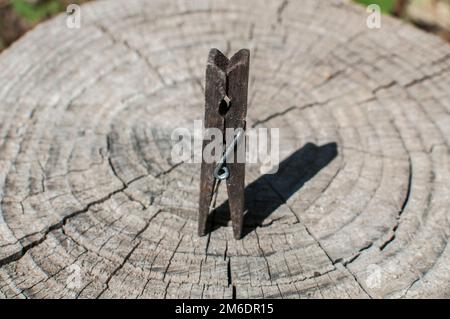Old weathered wooden clothing peg on old cut tree trunk surface closeup Stock Photo
