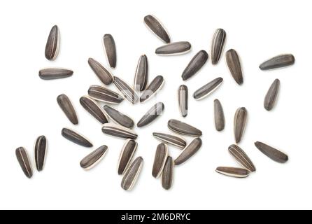 Sunflower Seeds Isolated On White Background Stock Photo