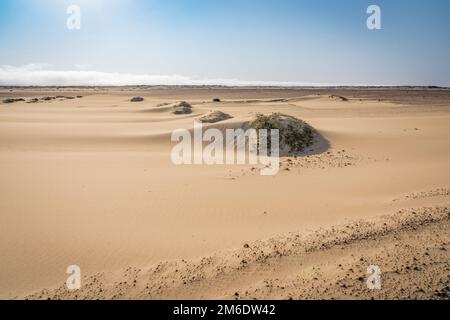 View of the Skeleton Coast desert dunes in Namibia, Africa. Stock Photo