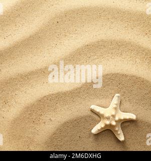 Starfish On Wavy Sand Background Stock Photo