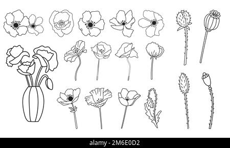 Set of vector anemone flowers, hand drawn black and white graphic line illustration, botanical field poppies, buds, vase, suits for plotter cutting Stock Vector