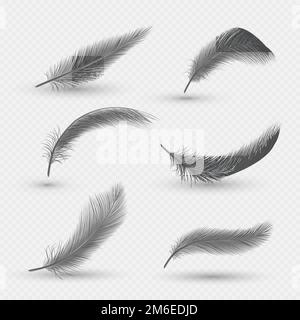 Black fluffy swan feathers, vector isolated illustration Stock Vector