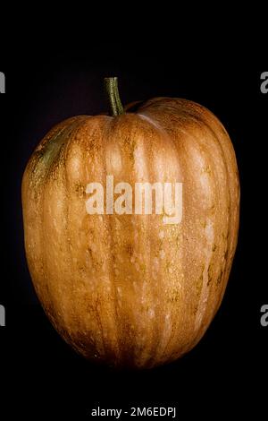 Ripe whole pumpkin Stock Photo