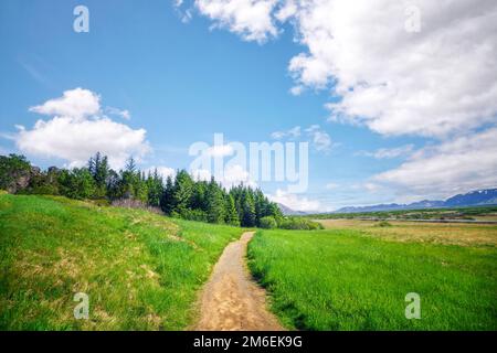 Nature trail in beautiful nature on a summer day with blue sky and green meadows Stock Photo