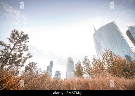 Park in front of a big city with tall buildings in the early fall on a bright day Stock Photo