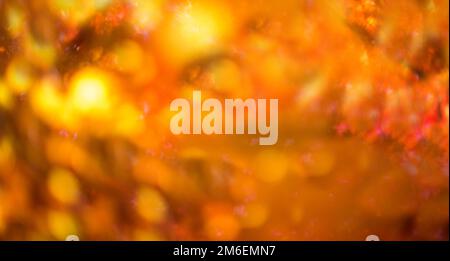 Defocused red leaves, perfect autumn background Stock Photo