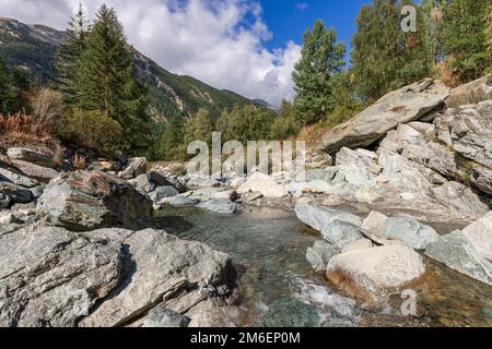 Mountain ice stream among granite rocks covered with mixed green forest, clear blue sky with snow-white clouds Stock Photo