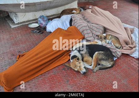 Non Exclusive: 04 January 2023 In Sylhet-Bangladesh: Steet people is sleeping in foggy winter morning in Sylhet, Bangladesh. Cold wave is blowing acro Stock Photo