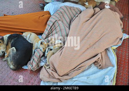 Non Exclusive: 04 January 2023 In Sylhet-Bangladesh: Steet people is sleeping in foggy winter morning in Sylhet, Bangladesh. Cold wave is blowing acro Stock Photo