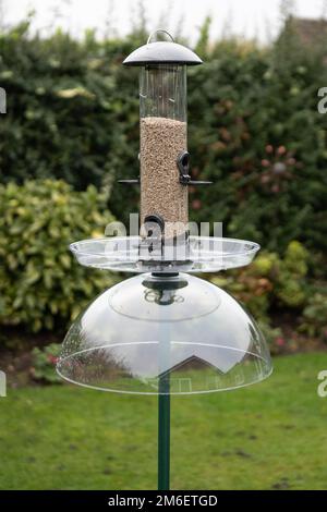 Squirrel proof bird feeder with squirrel baffle and seed tray Stock Photo